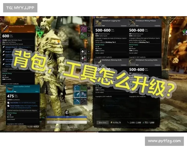 《龙腾世纪2》DLC必玩冒险推荐攻略探索新世界精彩内容 《龙腾世纪2》DLC必玩冒险推荐攻略探索新世界精彩内容